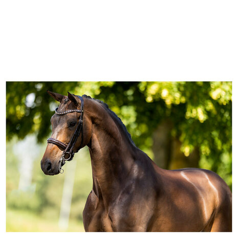 BR Stang & Trens Hoofdstel Wendover