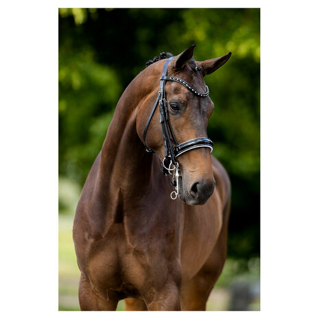 BR Stang & Trens Hoofdstel Wendover