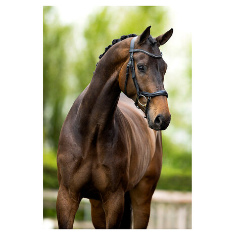 BR Hoofdstel Stanley