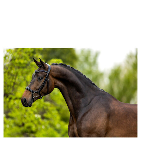 BR Hoofdstel Stanley