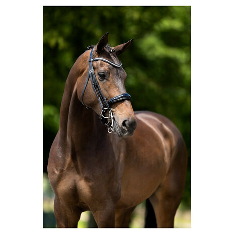 BR Stang & Trens Hoofdstel Keswick