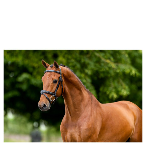 BR Hoofdstel Cheltenham