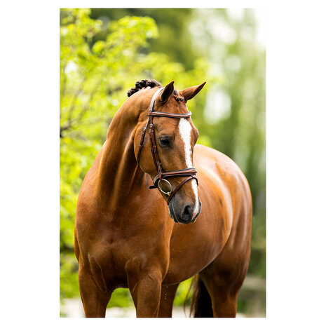 BR Hoofdstel Cheltenham