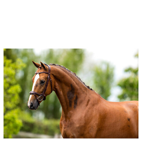 BR Hoofdstel Longridge