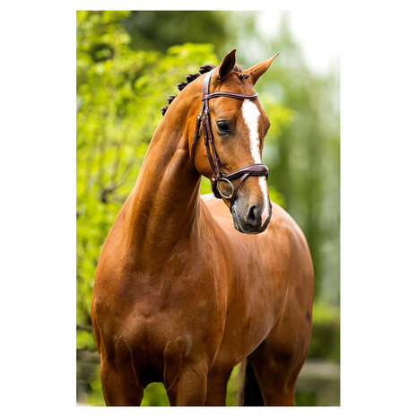 BR Hoofdstel Longridge