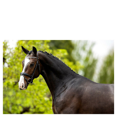 BR Hoofdstel Plymouth