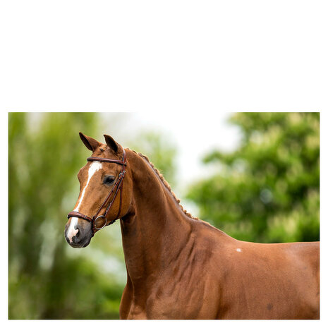 BR Hoofdstel Thurnham