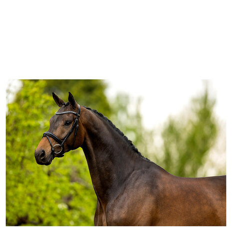 BR Hoofdstel Cambridge