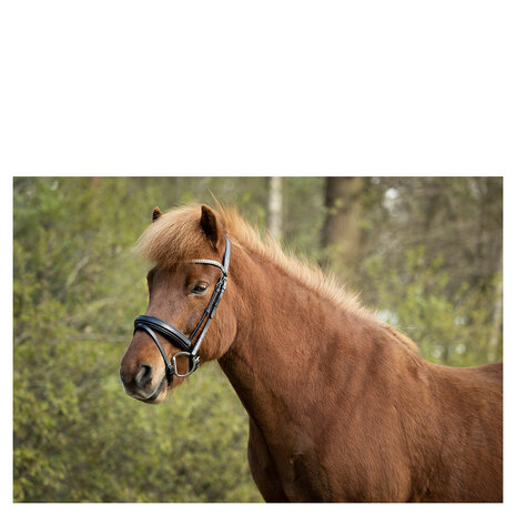 BR IJslander Hoofdstel Barnet