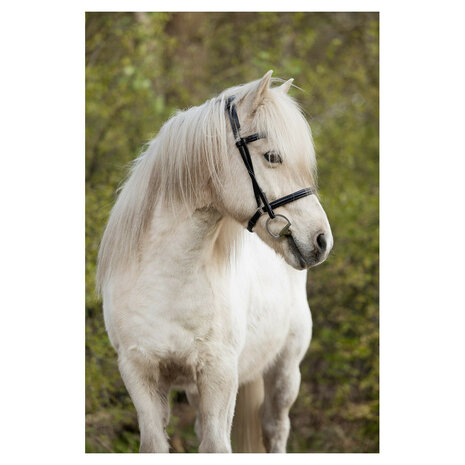 BR IJslander Hoofdstel Bourne