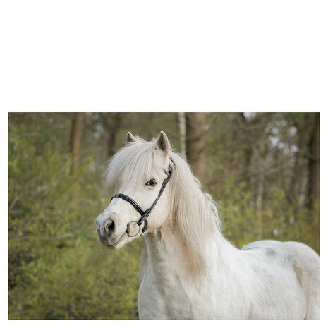 BR IJslander Hoofdstel Bourne