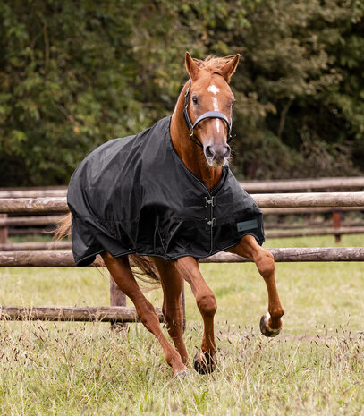 Waldhausen Regendeken Nordic 50 gram