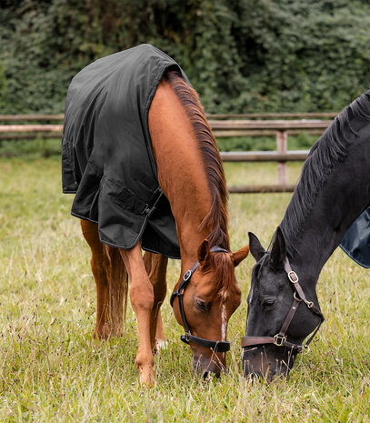 Waldhausen Regendeken Nordic 50 gram