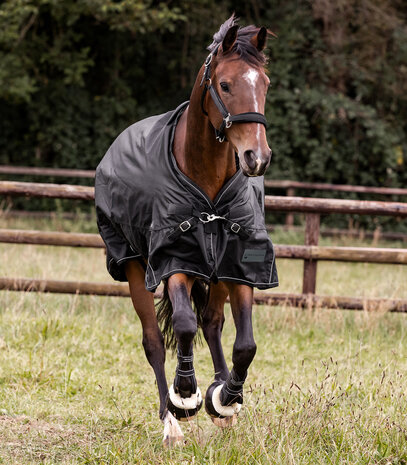 Waldhausen Regendeken Multi-Layer 50 g & 150 g