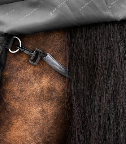 Waldhausen Regendeken Scandic 0 gram