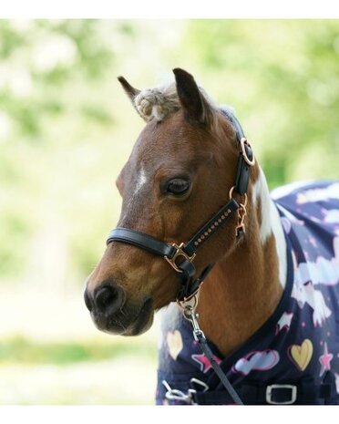 HB Regendeken Harry and Hector 0 gram Unicorn Dream