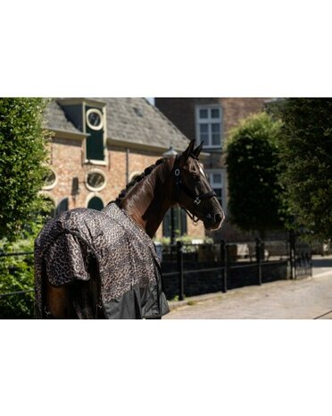 HB Regendeken 0 gram Luipaard Big Sizes