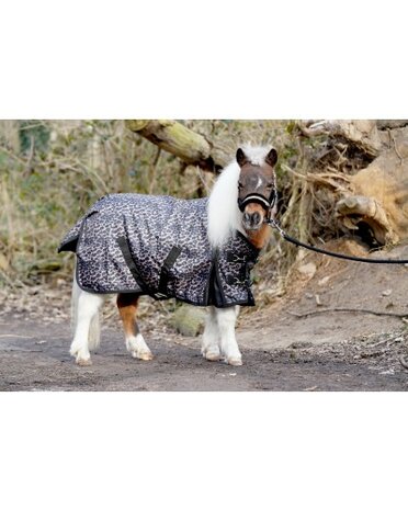 HB Regendeken Harry and Hector 0 gram Luipaard