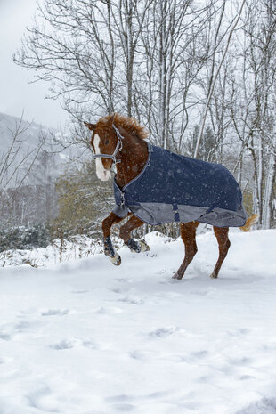 EquiTheme Regendeken Tyrex 0 gram
