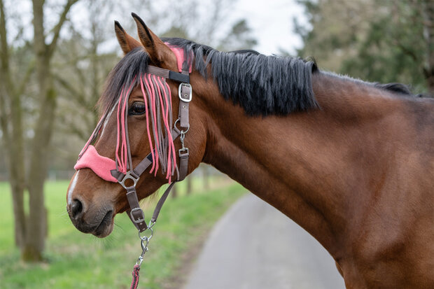 HKM halsterset met halstertouw & vliegennet mokka