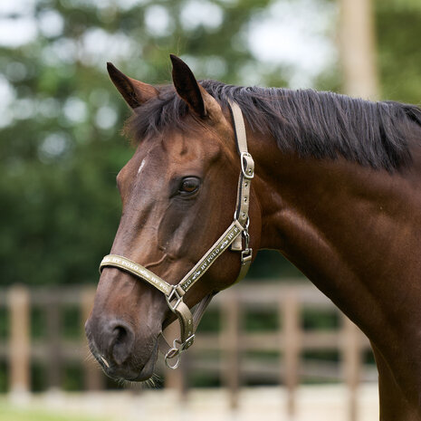 HV Polo halster Nena straw