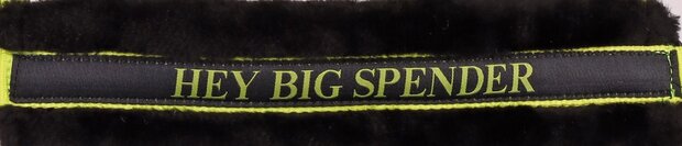 Harry's Horse halster Lyrics Quotes HEY BIG SPENDER lime