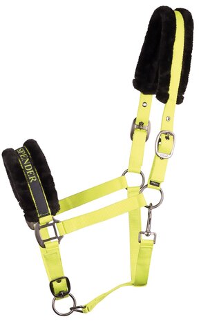 Harry's Horse halster Lyrics Quotes HEY BIG SPENDER lime