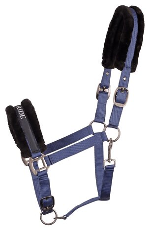 Harry's Horse halster Lyrics Quotes BORN 2 RIDE navy