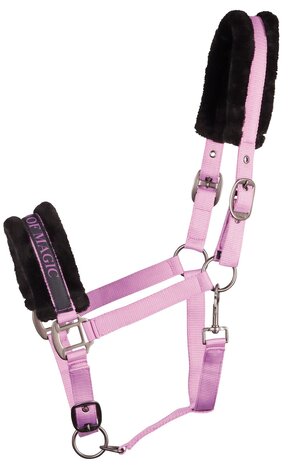 Harry's Horse halster Lyrics Quotes IT'S A KIND OF MAGIC lila