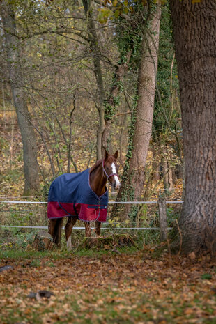 EquiTheme Regendeken Tyrex 50 gram