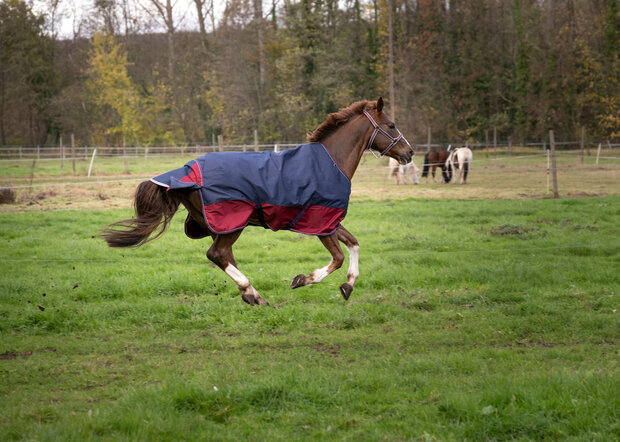 EquiTheme Regendeken Tyrex 50 gram