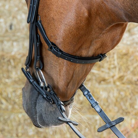 Harry’s Horse Hoofdstel Anatomic Black Crystal