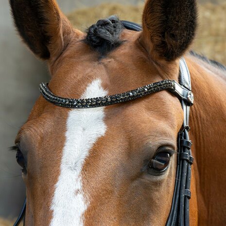 Harry’s Horse Hoofdstel Anatomic Black Crystal