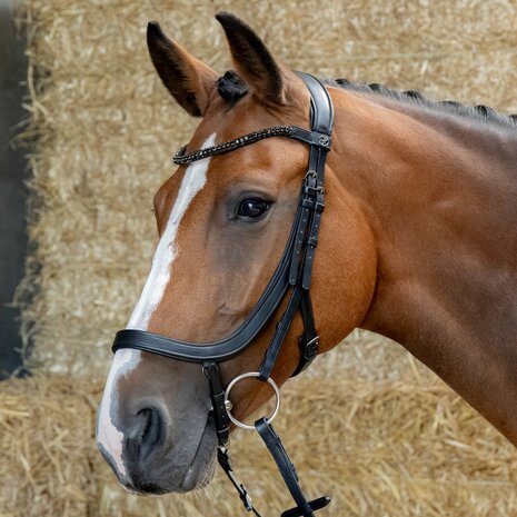 Harry’s Horse Hoofdstel Anatomic Black Crystal