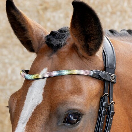 Harry’s Horse Frontriem Rainbow
