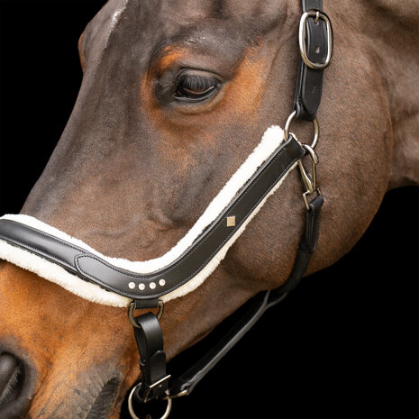 Imperial Riding Leren Halster Luxury