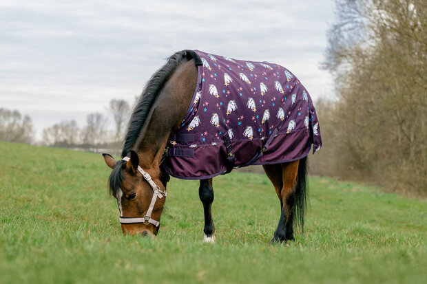 EquiTheme Regendeken Licorne Standard 0 gram