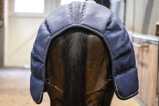 Lami-Cell Staldeken Stable Master 240 gram