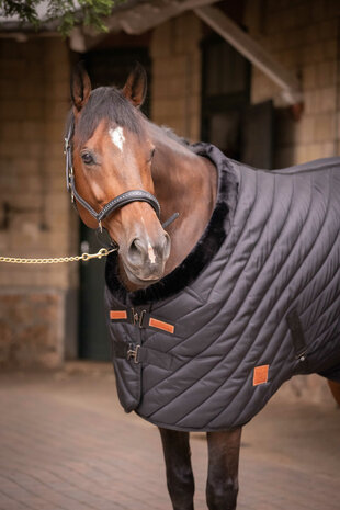 EquiTheme Staldeken Paddock 400 gram
