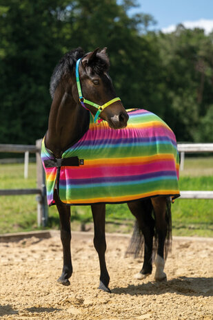 HKM Zweetdeken Rainbow