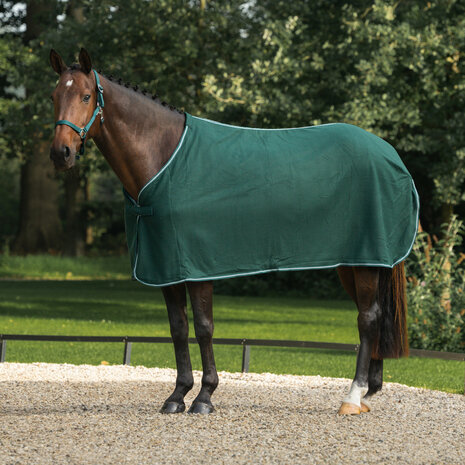 Horka Zweetdeken Economy