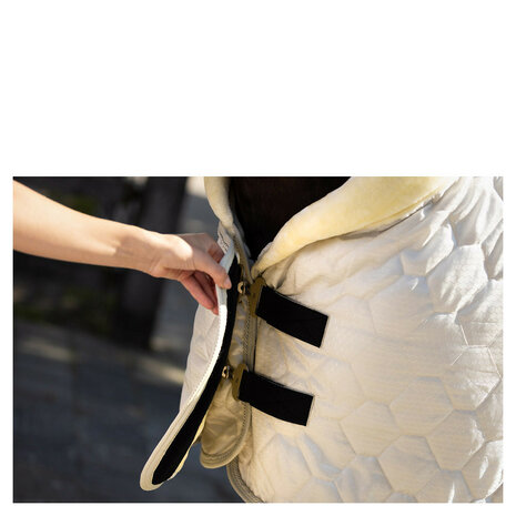 BR Showdeken Zamora C-Wear