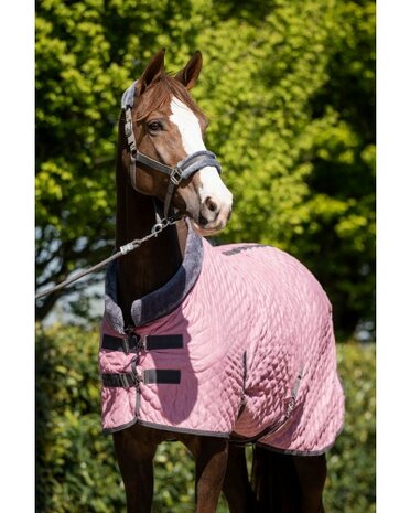 HB Showtime Zweetdeken Sunset