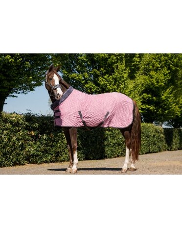 HB Showtime Zweetdeken Sunset