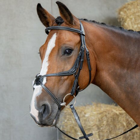 Harry’s Horse Mexicaans Hoofdstel Anatomic