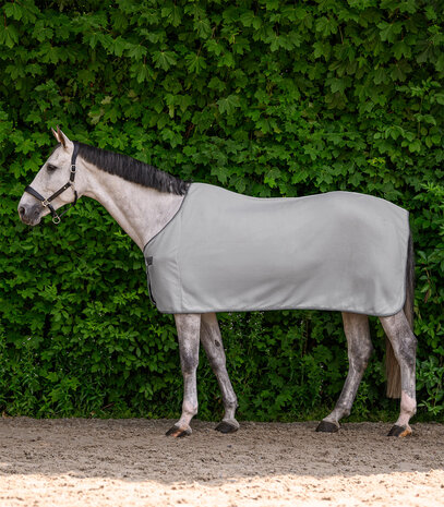 Waldhausen Zweetdeken Economic