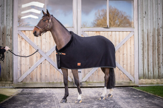 EquiTheme Zweetdeken Paddock