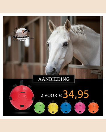 Excellent Fun Play Bal