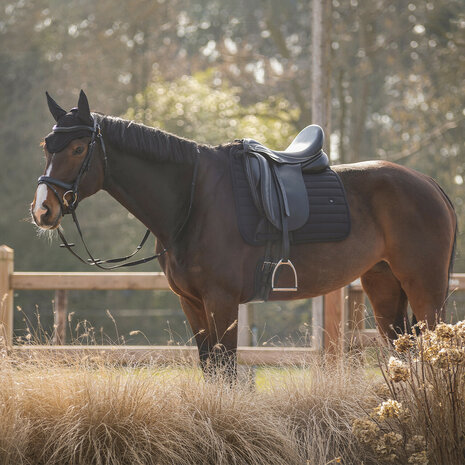 QHP Zadeldek Salerno