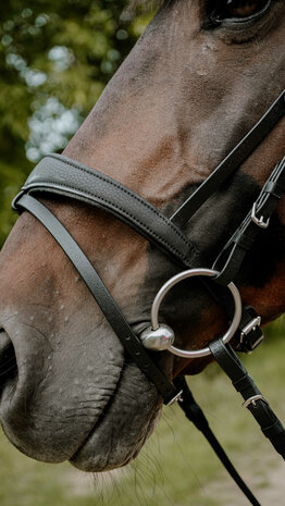 Norton Endurance Hoofdstel Pop